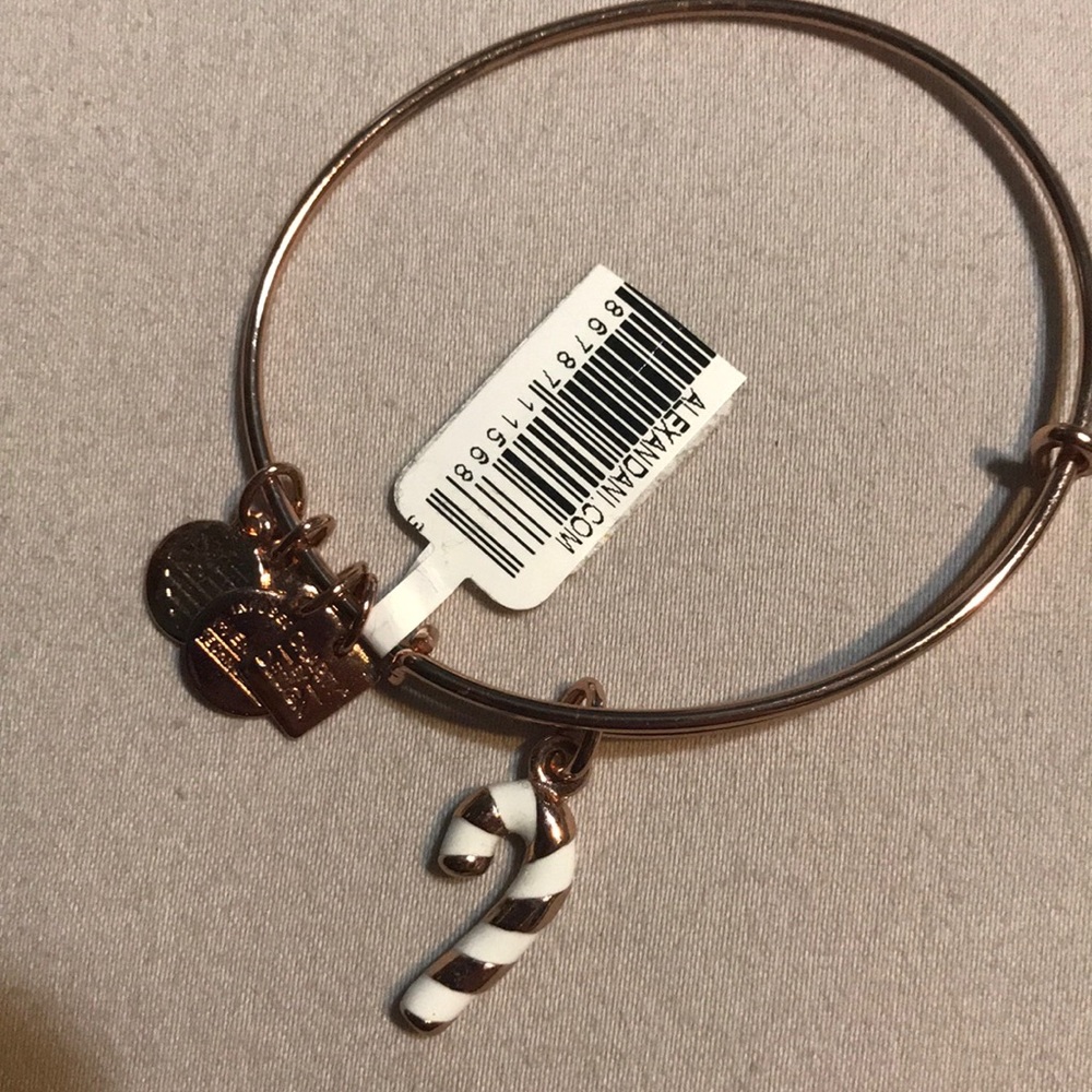Alex and Ani candy cane charm